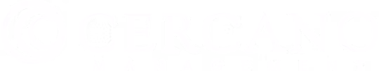 Vulcan Capital